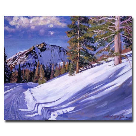 David Lloyd Glover 'Snow Mountain Road' Canvas Art,35x47